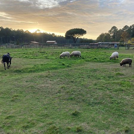 Gite - La Ferme A La Plage Le Porge Ngoại thất bức ảnh