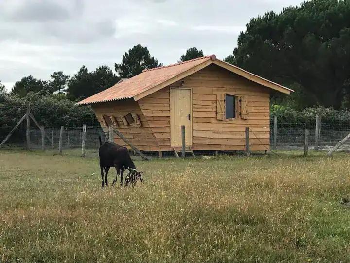 Gite - La Ferme A La Plage Le Porge Ngoại thất bức ảnh